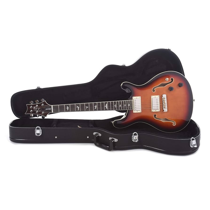 prs se hollowbodyⅡ 41Biq9CXRuL.jpg_BO30,255,255,